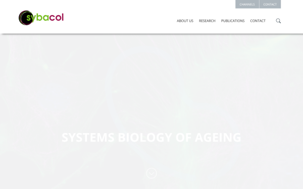 www.sybacol.org