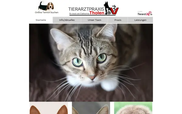 www.tierarztpraxistholen.de