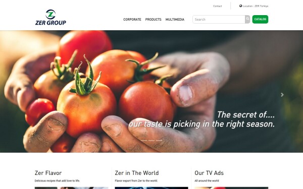 www.zergroup.com