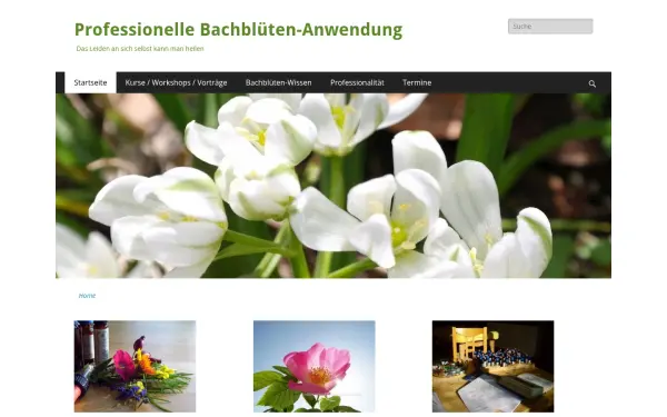 bach-blueten-berlin.de
