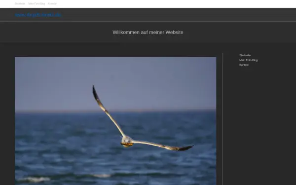 anjaschmitz.de