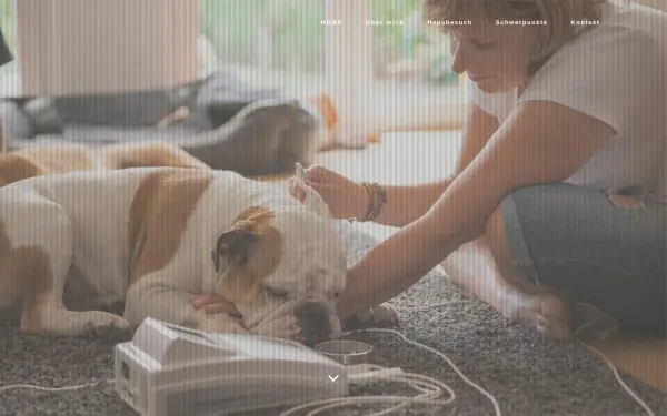 heikes-tierheilpraxis.de