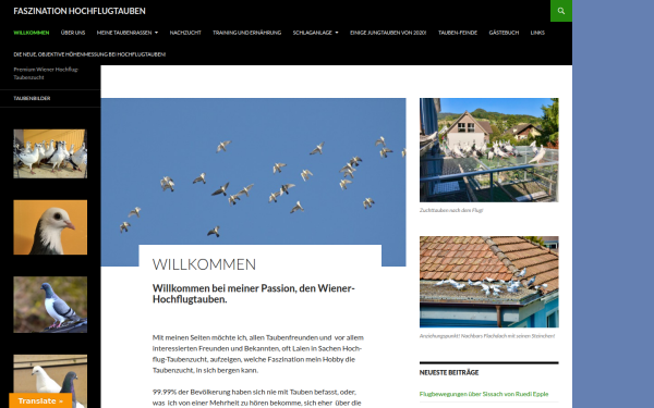 www.hochflugtauben.ch