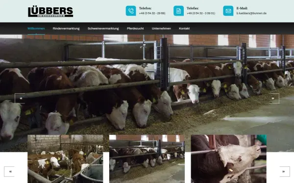 www.luebbers-bunnen.de