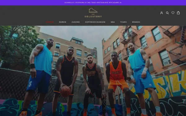 thesolestory.com