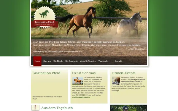 www.faszinationpferd.de