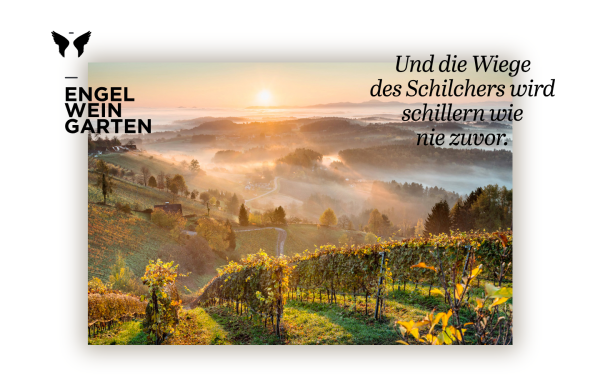 engelweingarten.at