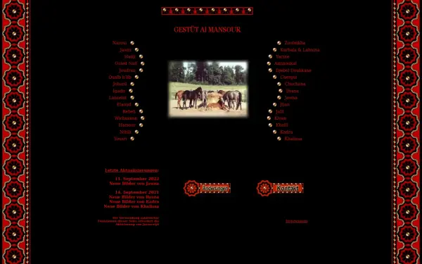 almansour-berberpferde.de