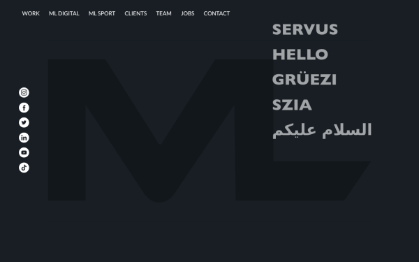 www.mlmarketing.cc