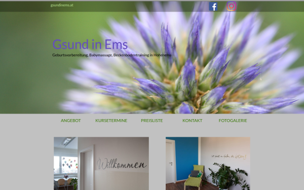 gsundinems.at