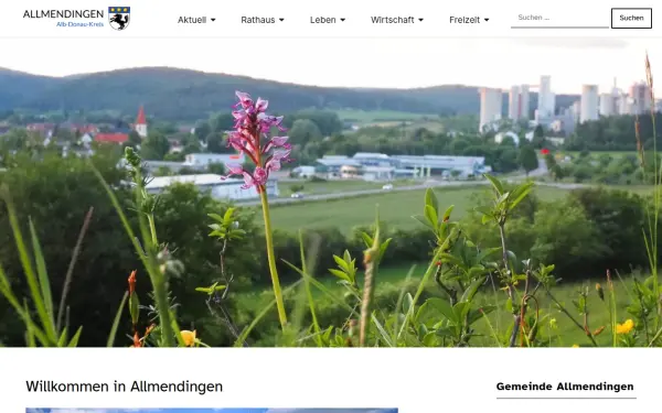allmendingen.de