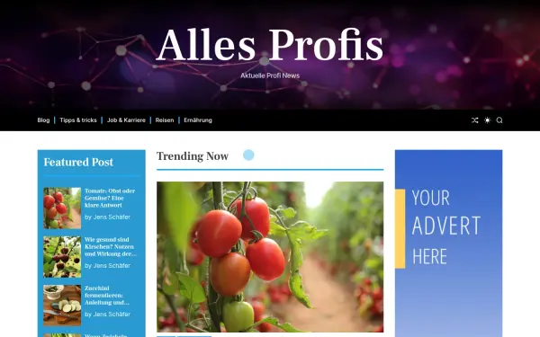www.allesprofis.de