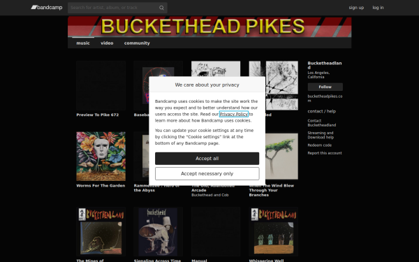 music.bucketheadpikes.com
