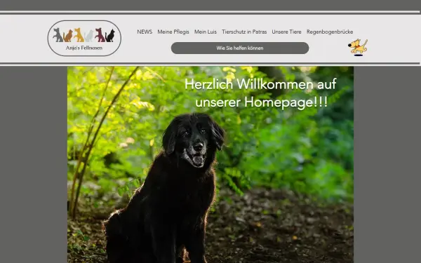 www.anjas-fellnasen.de