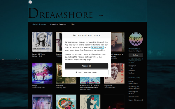 dreamshoretapes.bandcamp.com