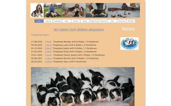 basset4u.de
