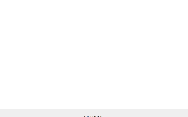 klauslippitsch.com