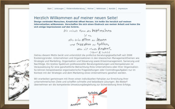 www.profectus-beratung.de