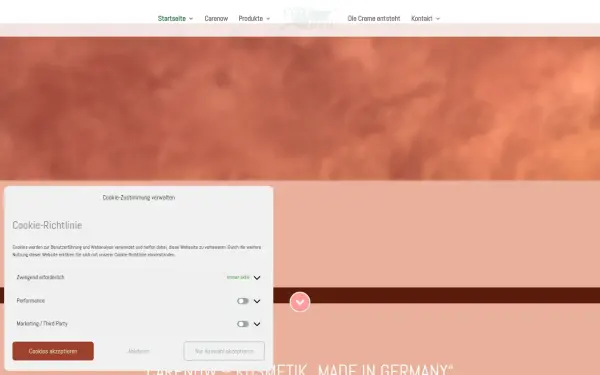www.carenow.de