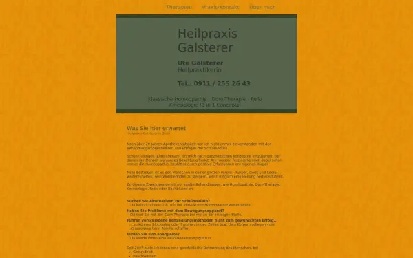 heilpraxis-galsterer.de