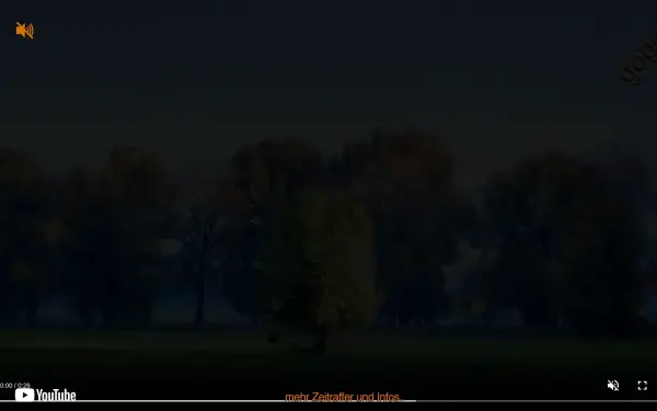 goggi.de