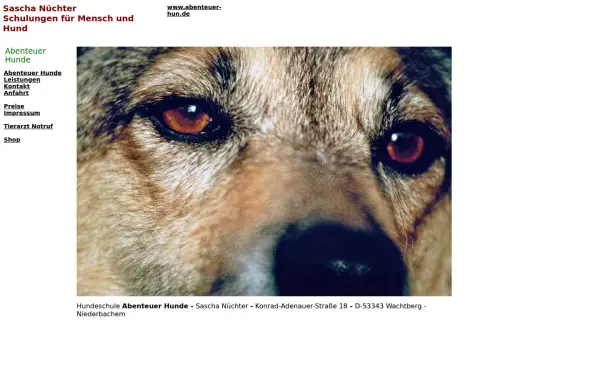 abenteuer-hunde.de