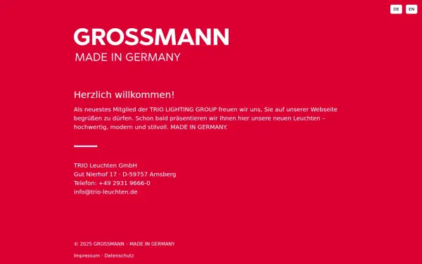 grossmann-licht.de