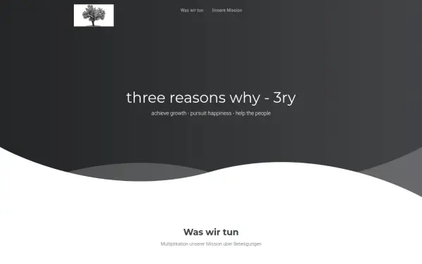 3ry.de