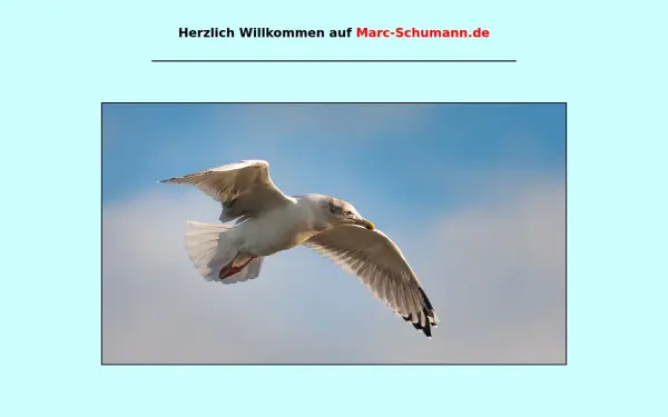 marc-schumann.de