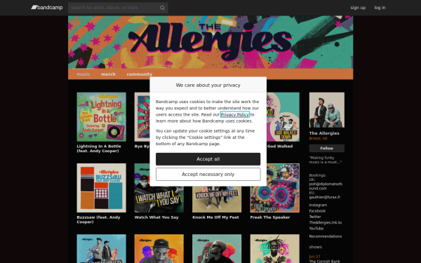 theallergies.bandcamp.com
