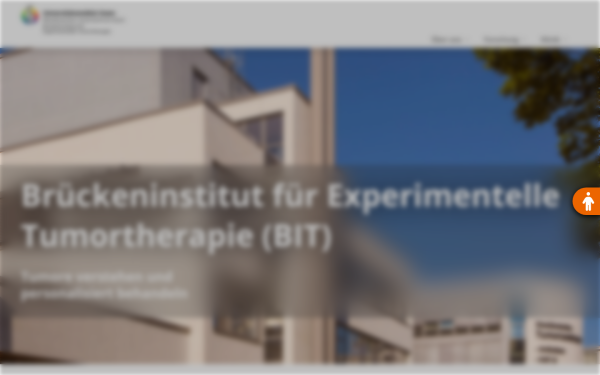bit-essen.de