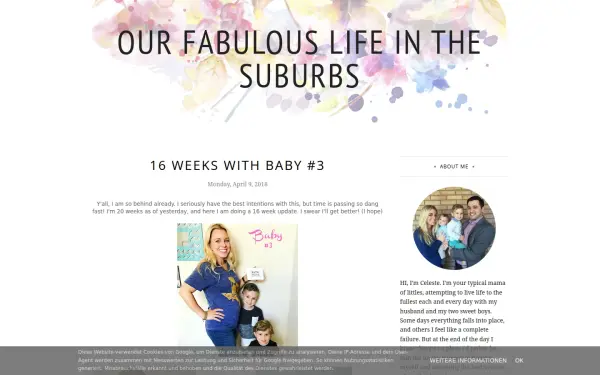 www.ourfabulouslifeinthesuburbs.com
