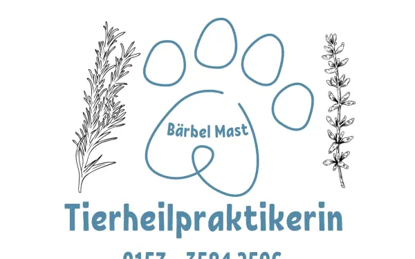 40h.de