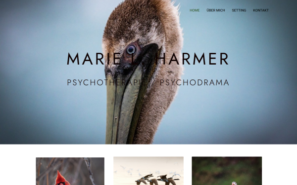 marieharmer.at