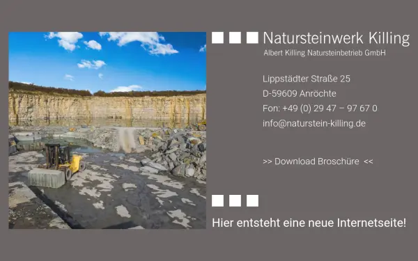 naturstein-killing.de