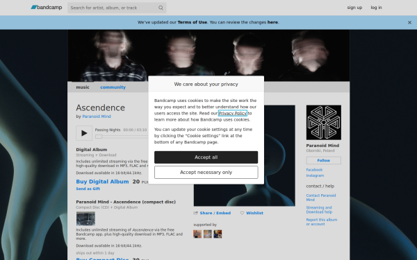 paranoidmindmusic.bandcamp.com