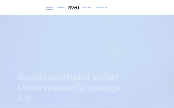 www.bvzu.de