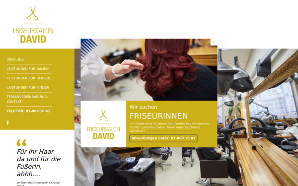 www.friseursalon-david.at