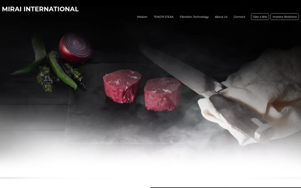 www.miraiint.com