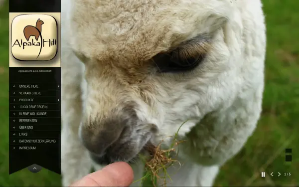 www.alpaka-hill.de