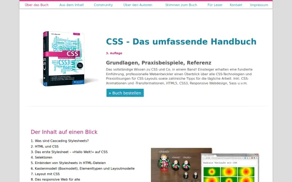 www.css-praxis.de