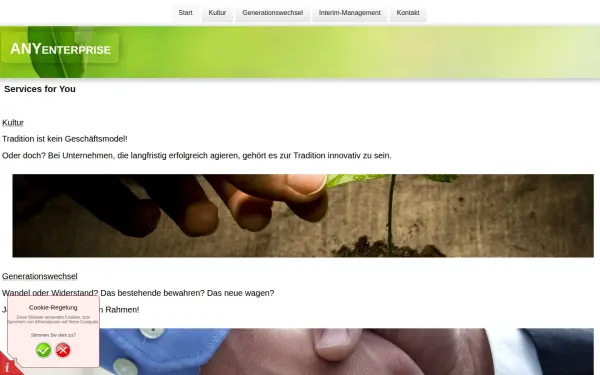 anyenterprise.de