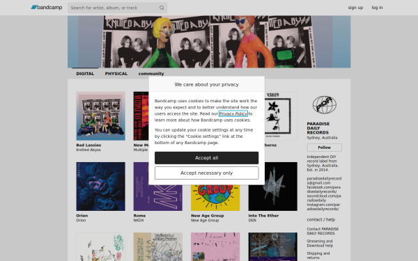 paradisedaily.bandcamp.com
