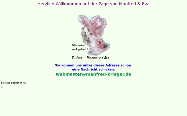 manfred-krieger.de