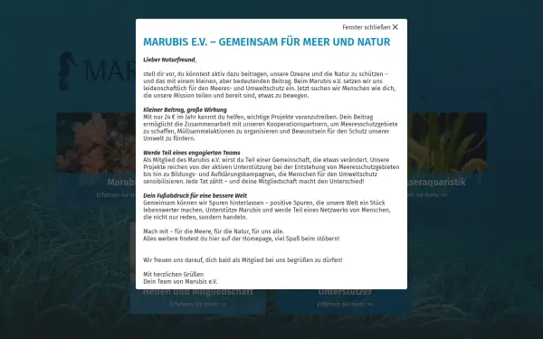 www.marubis.de