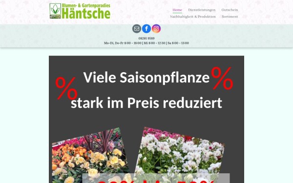 www.blumen-haentsche.de