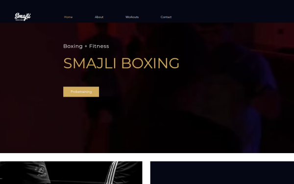 www.smajliboxing.ch