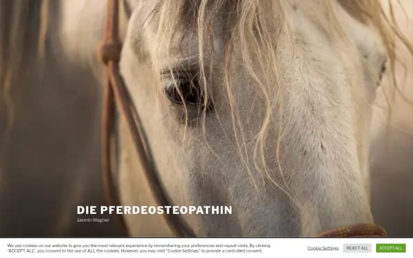 diepferdeosteopathin.de