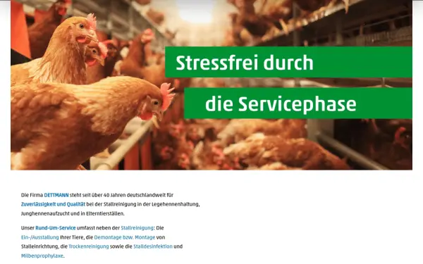 dettmann-gmbh.de