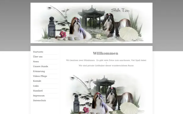 www.mandyshihtzu.de